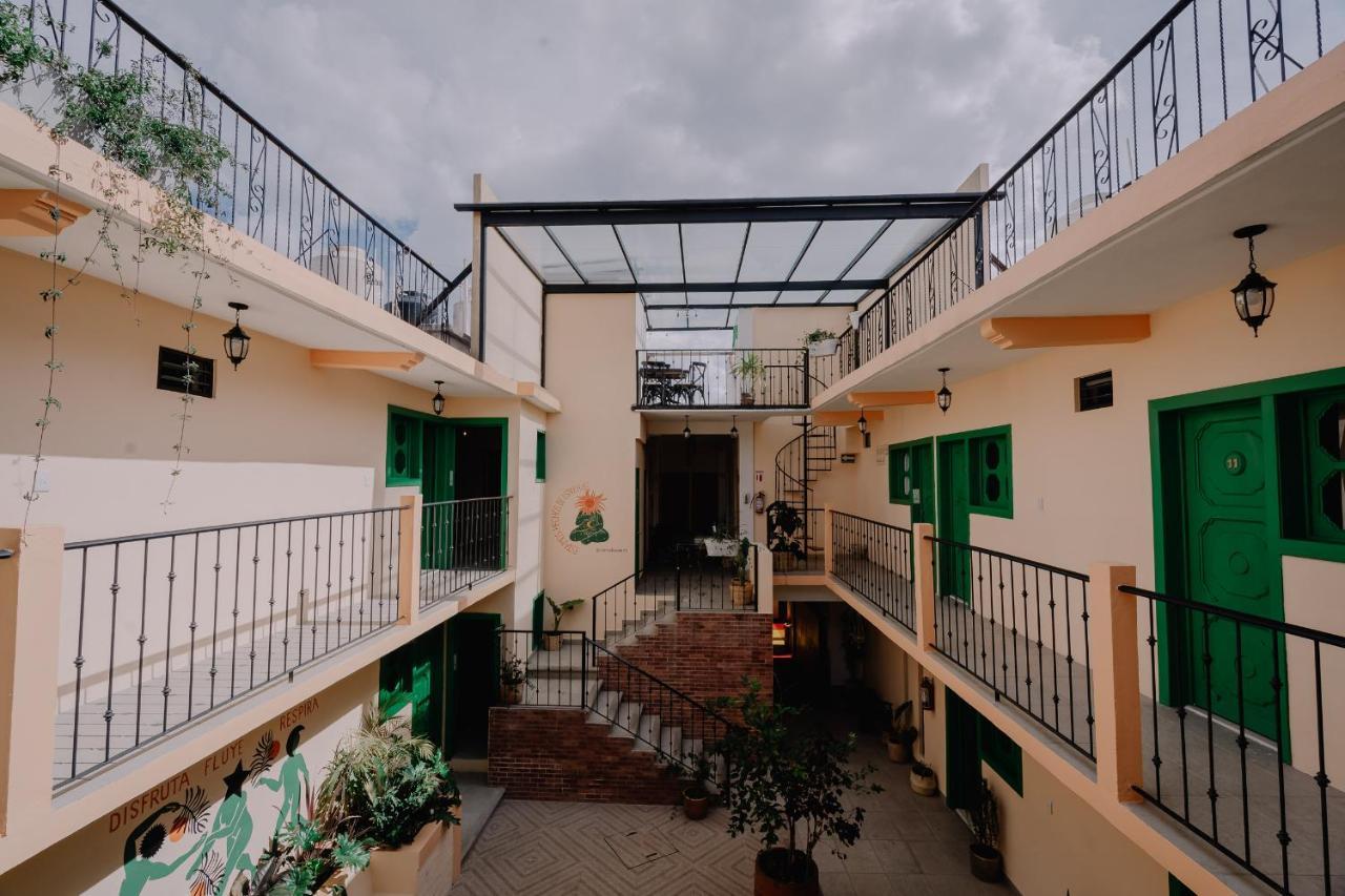 Hotel Cielo Y Selva, San Cristóbal de Las Casas エクステリア 写真